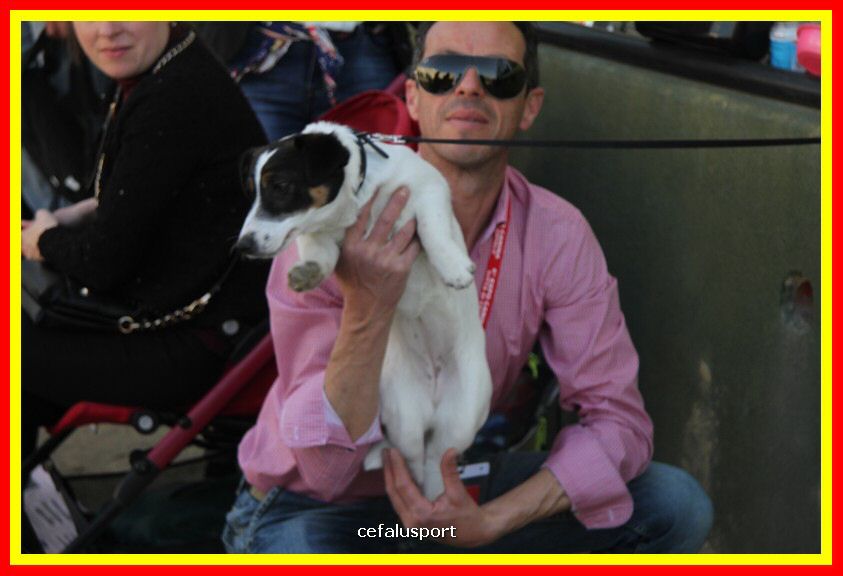 180311 mostra_canina 102.jpg